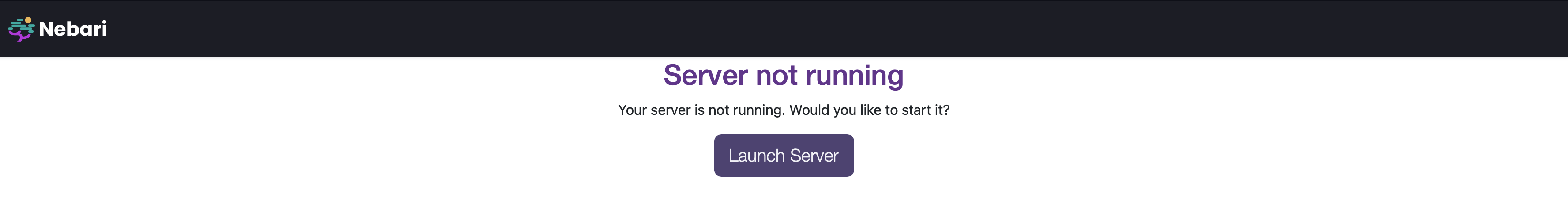 Nebari dashboard main screen - displays a button "Launch Server"